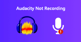 Audacity Not Recording